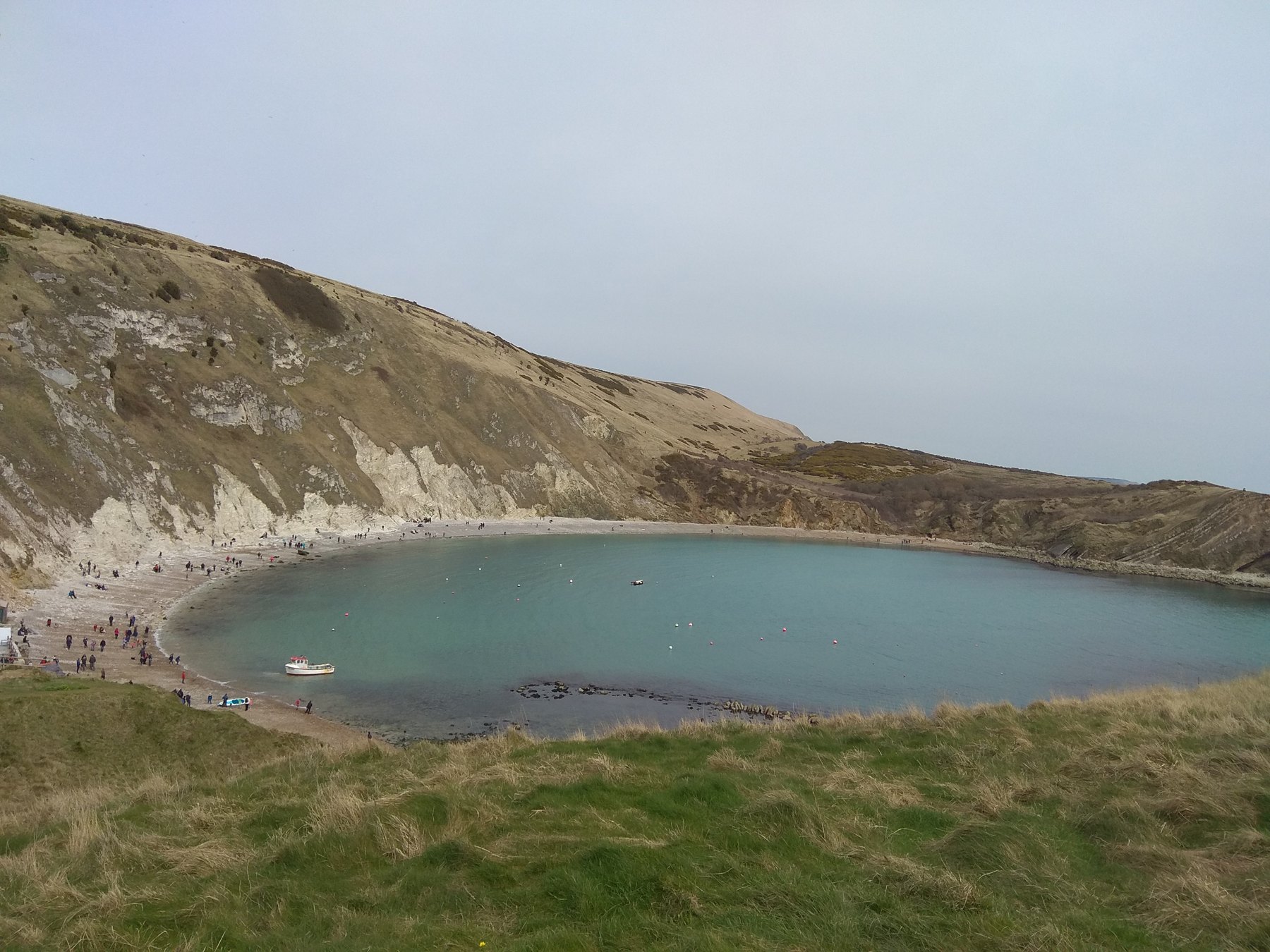 The curved bay and clear coastal water at Lulworth Cove